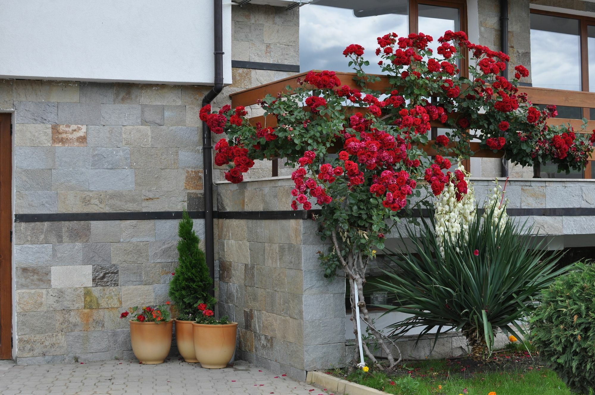 Gardenia Hills Hotel 써니비치 외부 사진